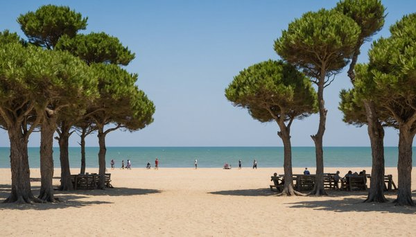 Vacances nature : explorer l'Île d'oléron autrement