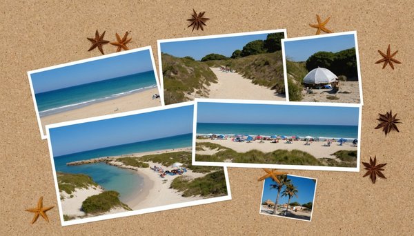 Vacances nature à montalivet : activités et découvertes